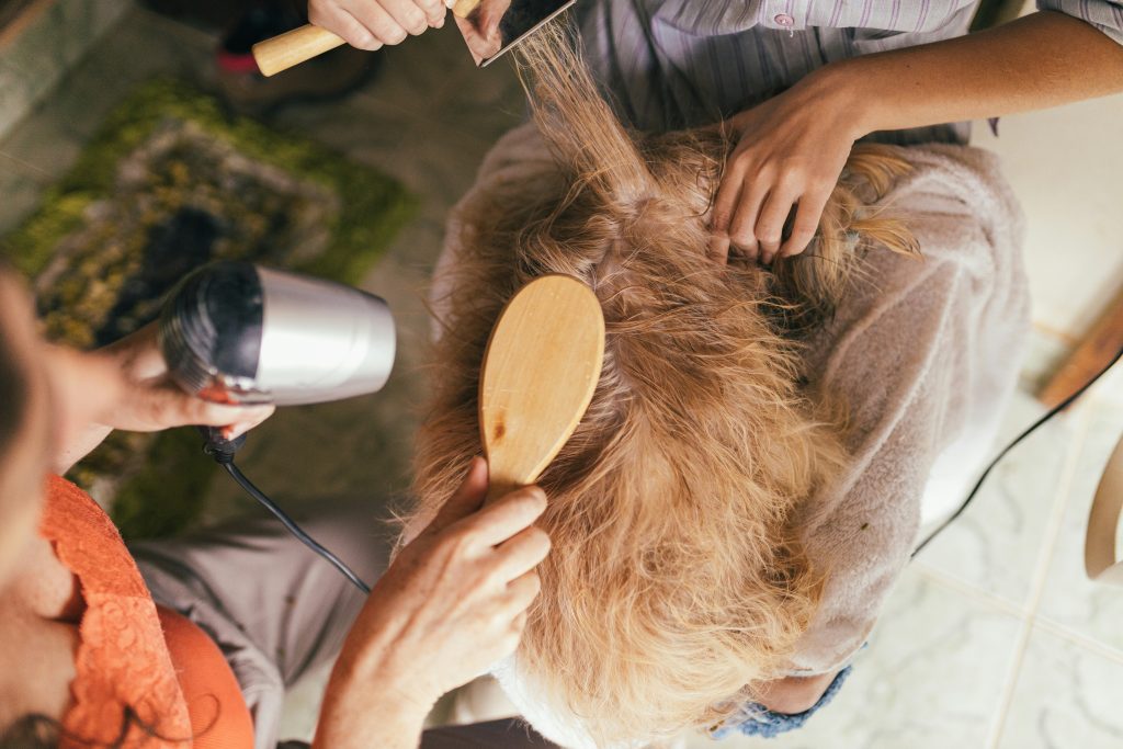 Pet grooming