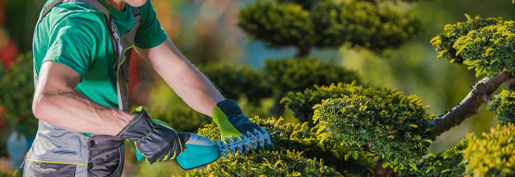 _0016_Landscaping