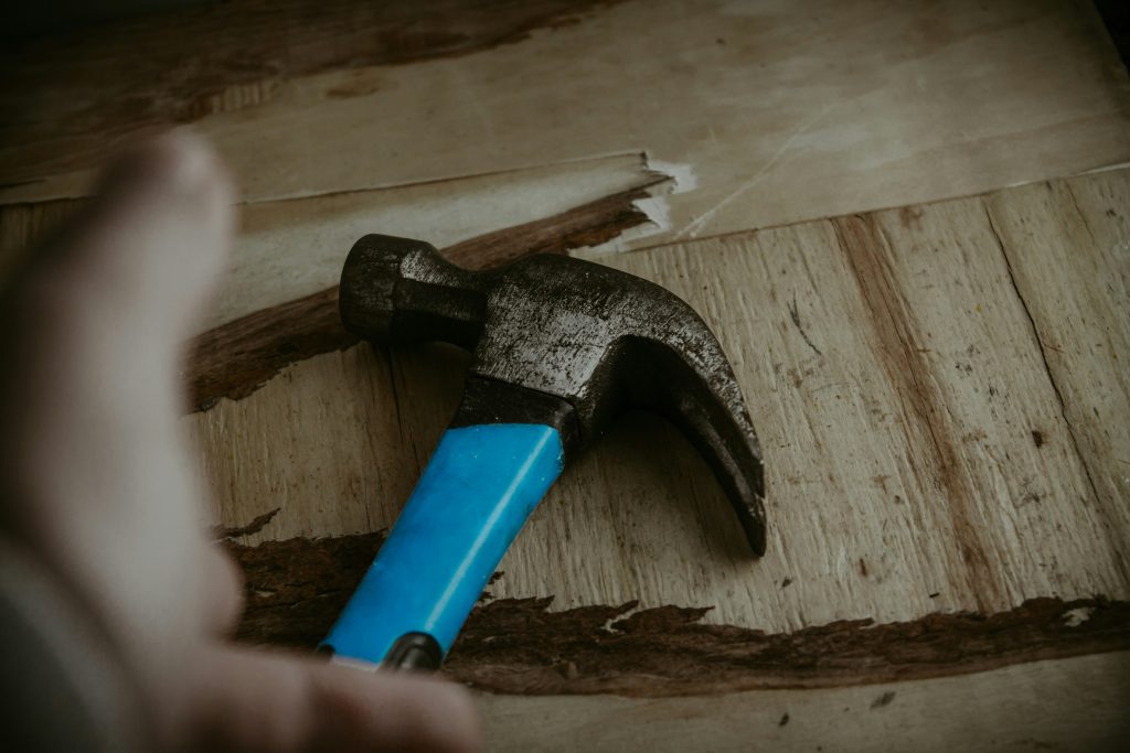 yousef-samuil-hUijku-rGrY-unsplash