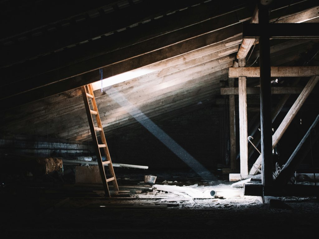 dmitry-ant-eyauXrAKQHM-unsplash