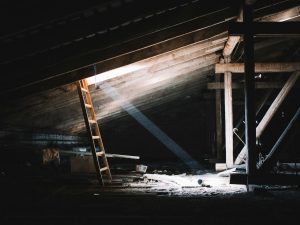 dmitry-ant-eyauXrAKQHM-unsplash